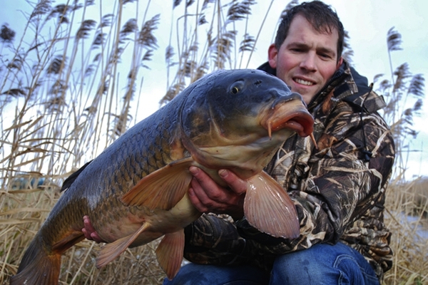 Karper-82-Remond-van-Dijk-Koud goud 600